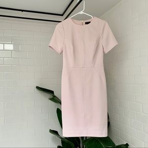 🌸 The Limited Pale Pink Dress 🌸